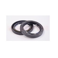 Сальник 100х125-2.2 ФТОР