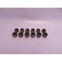 Колпачки маслосъемные на головку блока (сальник клапана) HOWO WD615 качество  QINYAN